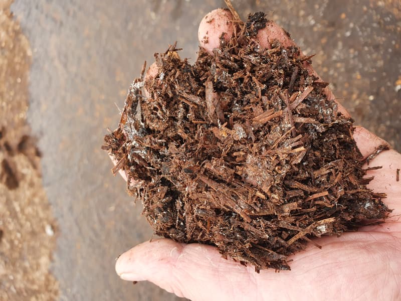 Mushroom compost in hand